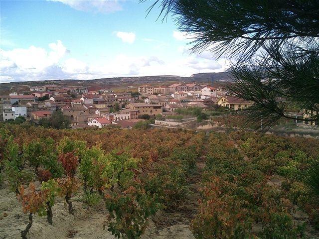 Гостевой дом Casa Rural Baigorrietxea Вильябуэна-де-Алава Экстерьер фото